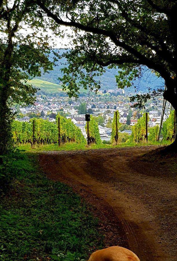 Ahrweiler Seelchen Bad Neuenahr-Ahrweiler Exterior foto